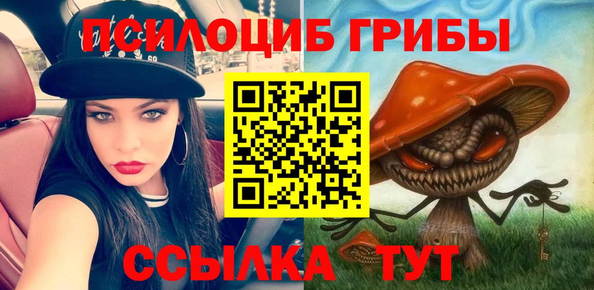 Красногорск  Галлюциногенные грибы мицелий  Вход с VPN 